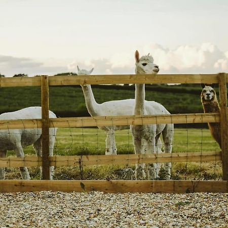 The Hay Barn - Hopewell Bristol Exterior foto