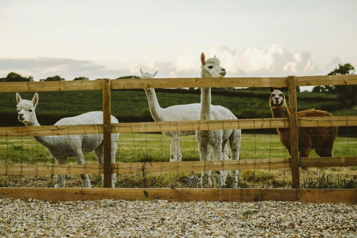 The Hay Barn - Hopewell Bristol Exterior foto